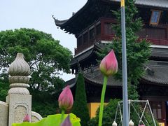 -重元寺香积厨素斋馆