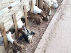 -呀路古热带植物园
