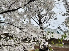 -云溪植物园