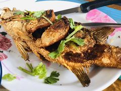 -Doo Dee Thai Food(Issan/Isaan/Esan)