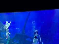 -江和美海洋公园