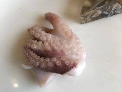 章鱼-鼓浪湾酒店自助餐