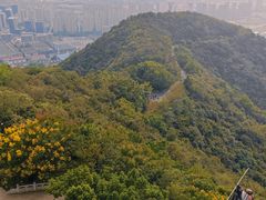 -杭州半山国家森林公园