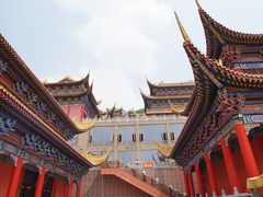 -东莞市大岭山森林公园