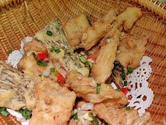 -大榕树下顺德菜(融创茂店)