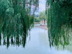 -金桥现代产业园区-停车场