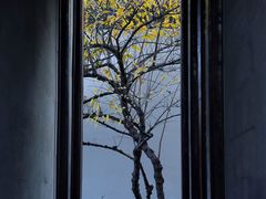 -胡雪岩故居