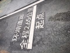 -海珠湖公园