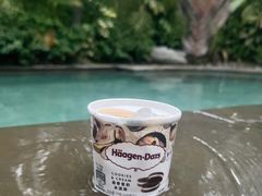 -碧桂园润杨溪谷温泉酒店