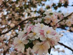 -大钟寺古钟博物馆