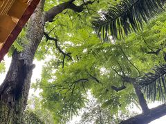 -白云山风景名胜区
