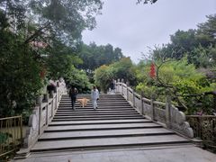-小洲村