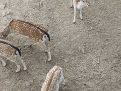 -太原动物园