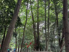 -凤栖山