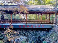 -藏龙百瀑风景区