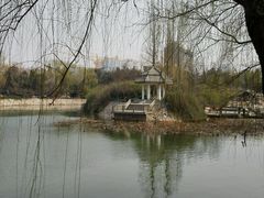 android_upload_pic-紫荆山公园