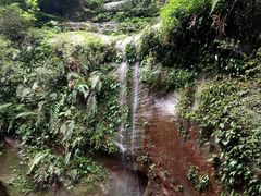 -赤水丹霞旅游区·佛光岩