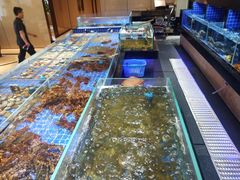 -粤珍轩.创始店.始于2001(含光门店)