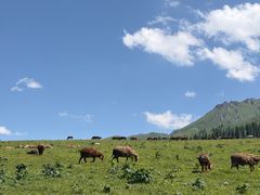 -新疆那拉提国家旅游度假区