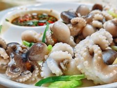 八爪鱼-张鸟园农家乐(张鸟园店)