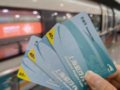 -龙阳路磁悬浮列车总站-停车场