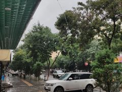 -苏莱特色牛骨滩羊手抓馆(长城东街总店)