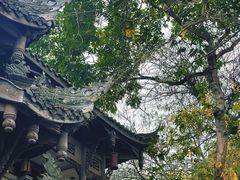 -黄龙溪古镇