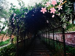 -西南政法大学(沙坪坝校区)