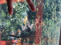 -UP健身私教馆(海岸城店)