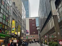 -秋叶原电器街