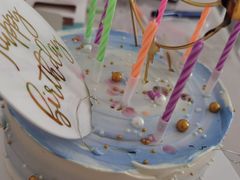 -维尔纳斯·生日蛋糕·动物奶油冰淇淋蛋糕(六里桥店)