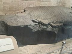 -白鹤梁水下博物馆