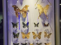 -吉林省自然博物馆