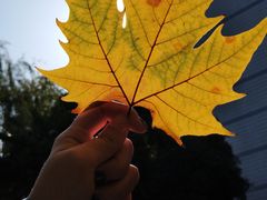 -西安交通大学(雁塔校区)
