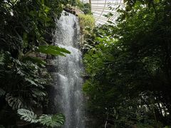 -昆明植物园