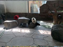 -宁波野生动物园