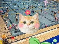 -南山文体中心-游泳馆