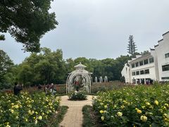 -东湖落雁景区