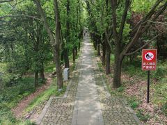 -虞山风景区
