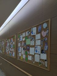 体验后-上海首尔丽格医疗美容医院