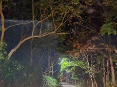 -万兴启丰椰子文化园餐厅