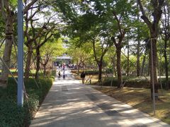 -深圳市人才园(深南大道店)