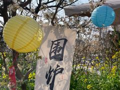 -桃源山庄·水蜜桃采摘·柴火鸡·烧烤团建(龙泉山店)