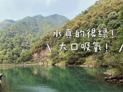 -大奇山国家森林公园