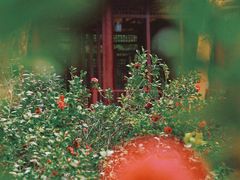 -深圳国际园林花卉博览园