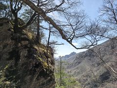 -牛背梁国家森林公园