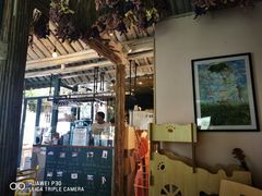 -喵屿·大理花园猫咖