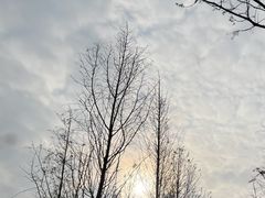 -金海湾滨江公园