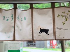 -猫里有甜