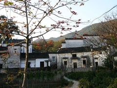 -塔川景区